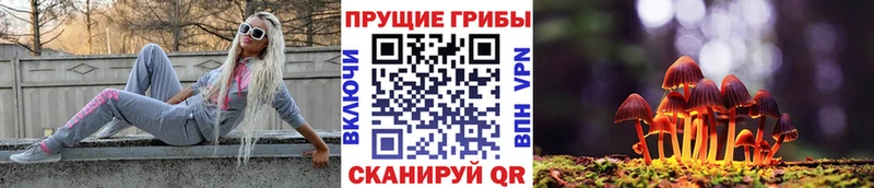 Псилоцибиновые грибы Cubensis  Иноземцево 